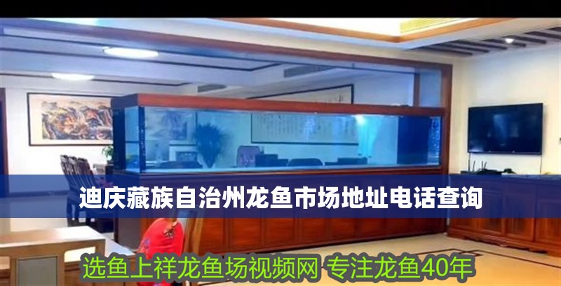 迪慶藏族自治州龍魚市場地址電話查詢