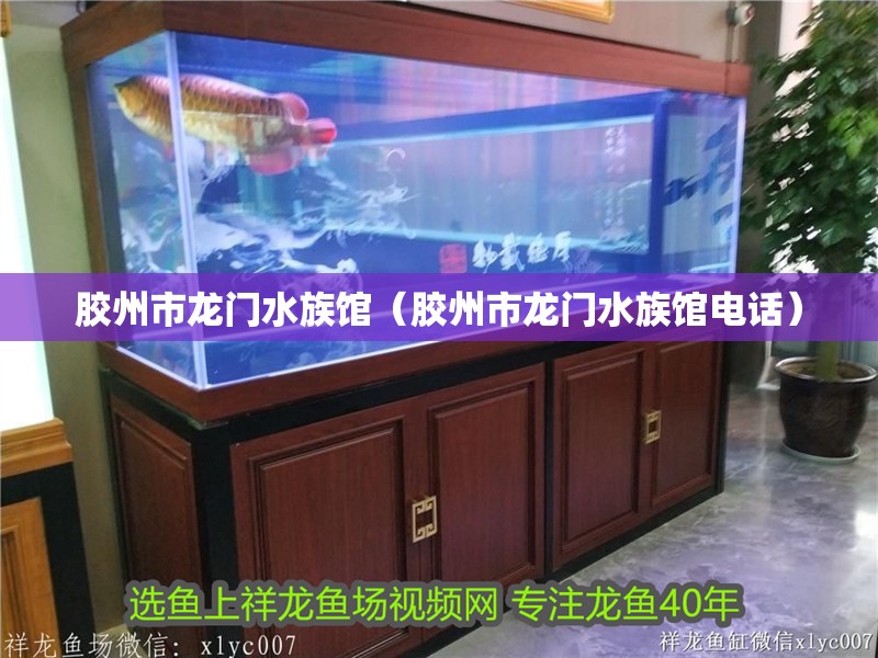膠州市龍門水族館（膠州市龍門水族館電話）