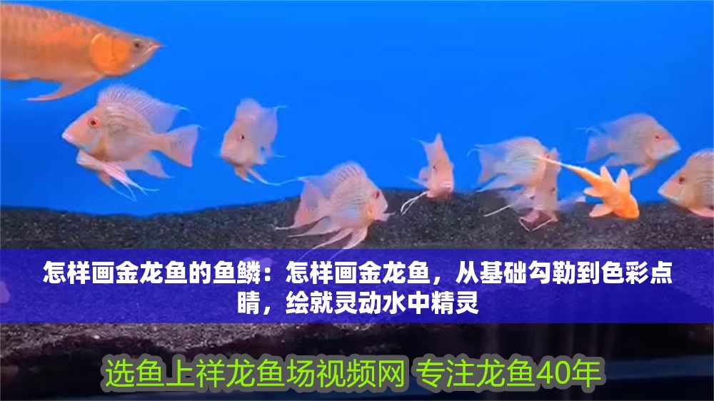 怎樣畫金龍魚的魚鱗：怎樣畫金龍魚，從基礎(chǔ)勾勒到色彩點睛，繪就靈動水中精靈