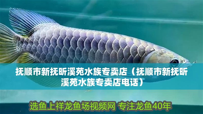 撫順市新撫昕溪苑水族專賣店（撫順市新撫昕溪苑水族專賣店電話）