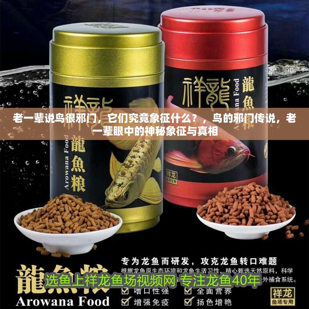 老一輩說鳥很邪門，它們究竟象征什么？，鳥的邪門傳說，老一輩眼中的神秘象征與真相 老一輩說鳥很邪門，它們究竟象征什么？，鳥的邪門傳說，老一輩眼中的神秘象征與真相 龍魚百科 第1張