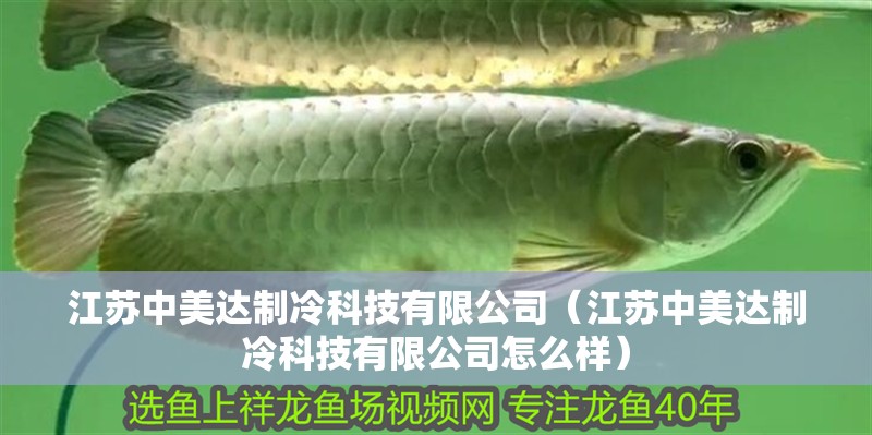 江蘇中美達制冷科技有限公司（江蘇中美達制冷科技有限公司怎么樣）