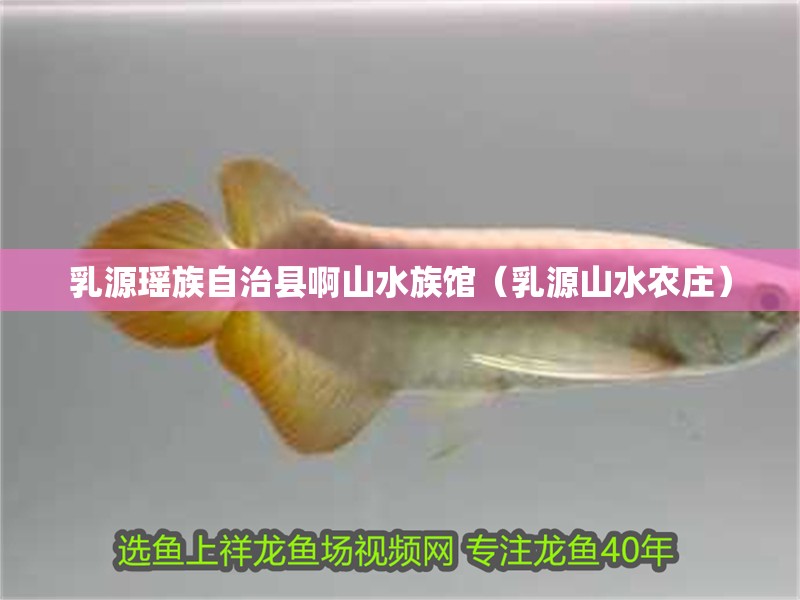 乳源瑤族自治縣啊山水族館（乳源山水農(nóng)莊） 乳源瑤族自治縣啊山水族館（乳源山水農(nóng)莊） 全國(guó)水族館企業(yè)名錄