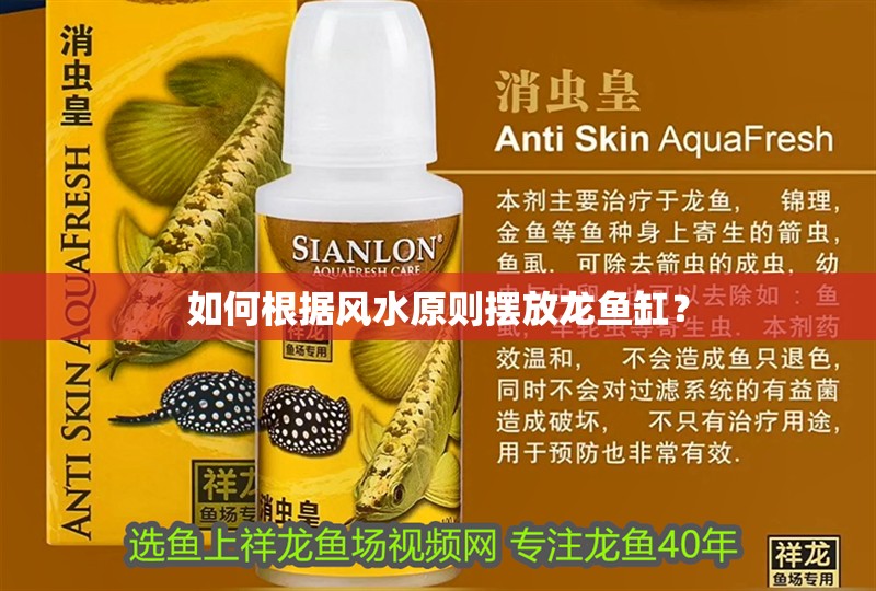 如何根據風水原則擺放龍魚缸？
