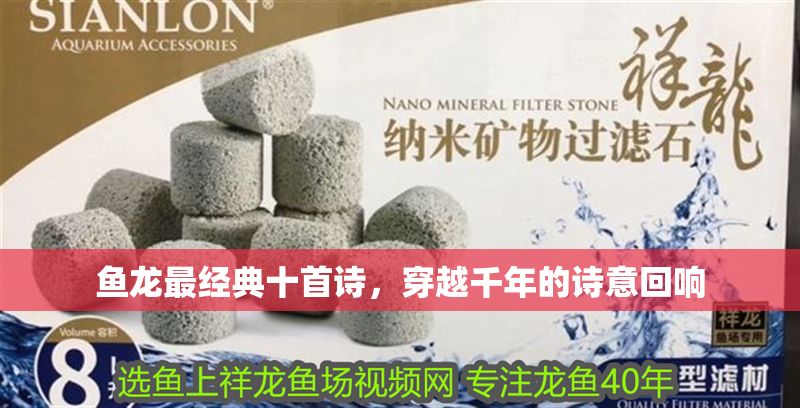 魚龍最經(jīng)典十首詩，穿越千年的詩意回響