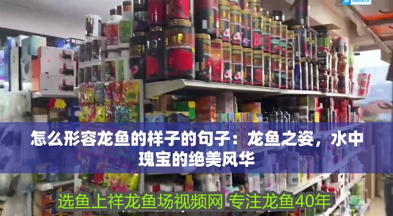 怎么形容龍魚的樣子的句子：龍魚之姿，水中瑰寶的絕美風華