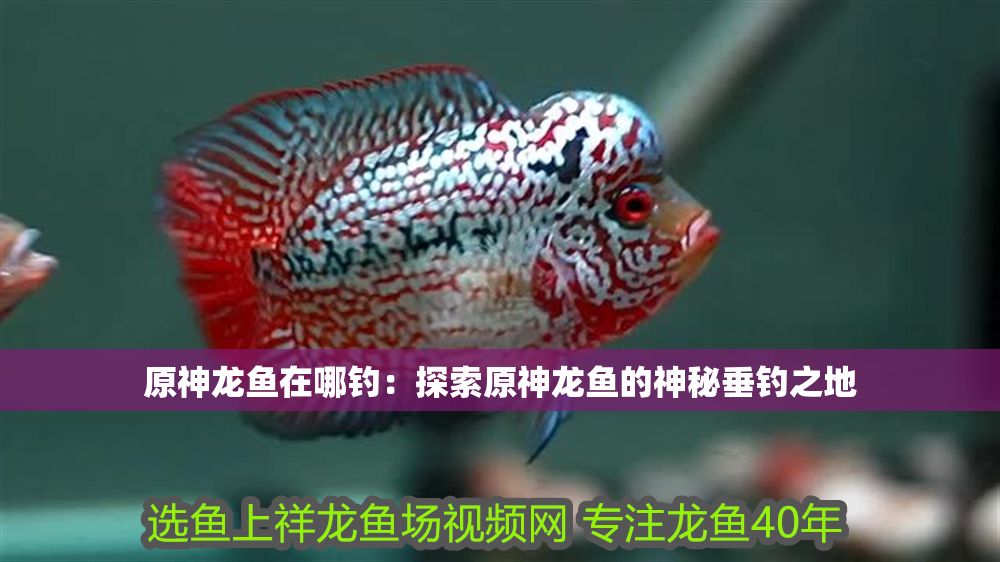 詳細閱讀:原神龍魚在哪釣:探索原神龍魚的神秘垂釣之地 原神龍魚在哪釣:探索原神龍魚的神秘垂釣之地