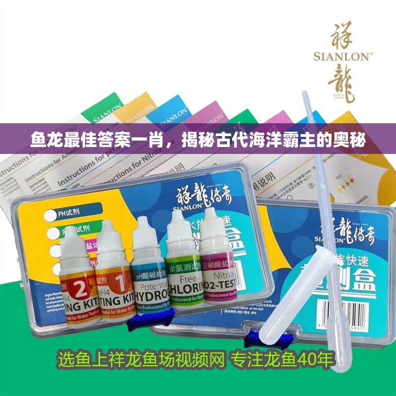 魚龍最佳答案一肖，揭秘古代海洋霸主的奧秘 魚龍最佳答案一肖，揭秘古代海洋霸主的奧秘 龍魚百科 第1張