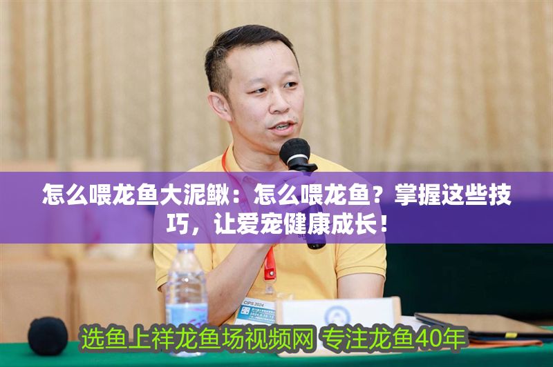 怎么喂龍魚大泥鰍：怎么喂龍魚？掌握這些技巧，讓愛寵健康成長(zhǎng)！