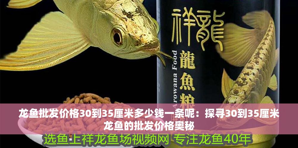 龍魚批發價格30到35厘米多少錢一條呢：探尋30到35厘米龍魚的批發價格奧秘