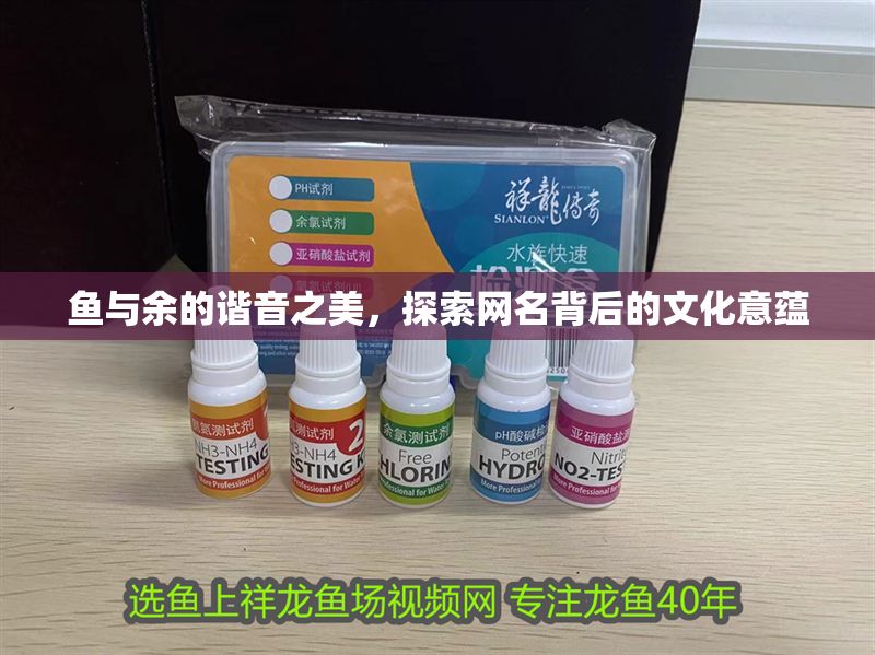 魚與余的諧音之美，探索網(wǎng)名背后的文化意蘊