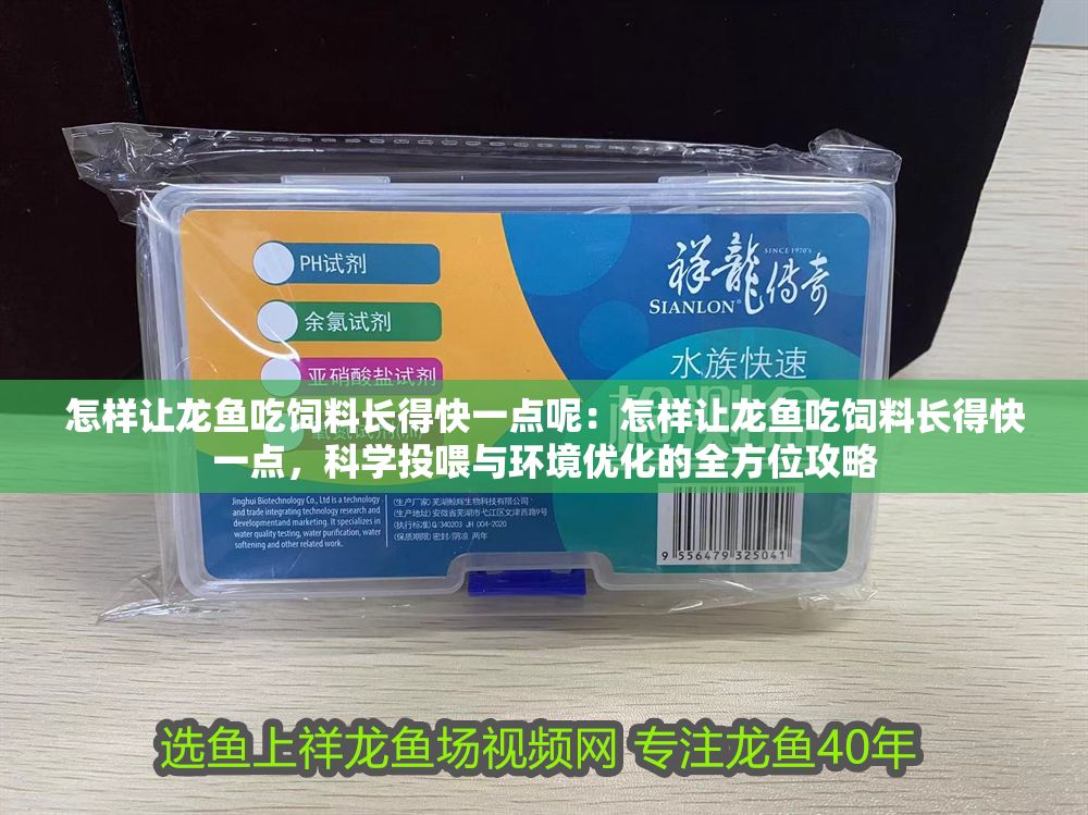怎樣讓龍魚吃飼料長(zhǎng)得快一點(diǎn)呢：怎樣讓龍魚吃飼料長(zhǎng)得快一點(diǎn)，科學(xué)投喂與環(huán)境優(yōu)化的全方位攻略