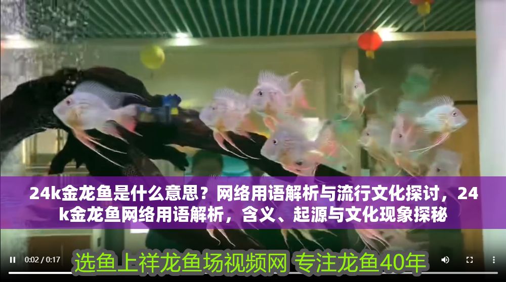 24k金龍魚是什么意思？網絡用語解析與流行文化探討，24k金龍魚網絡用語解析，含義、起源與文化現(xiàn)象探秘