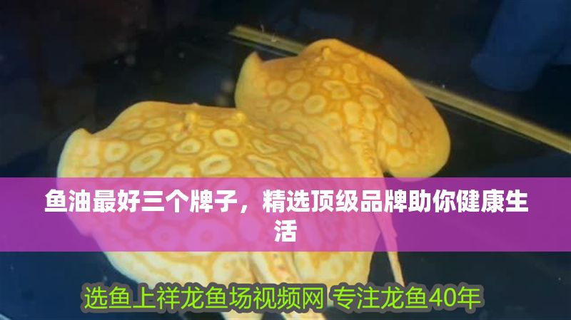 魚油最好三個牌子，精選頂級品牌助你健康生活