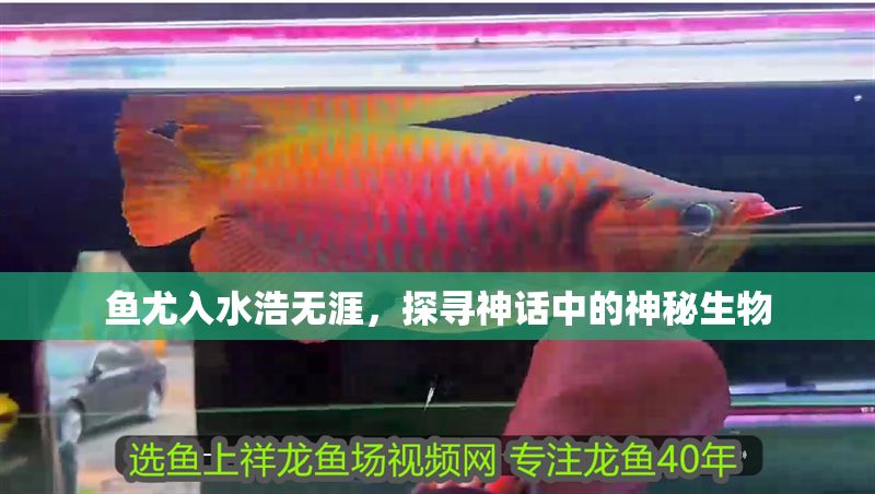 魚尤入水浩無涯，探尋神話中的神秘生物