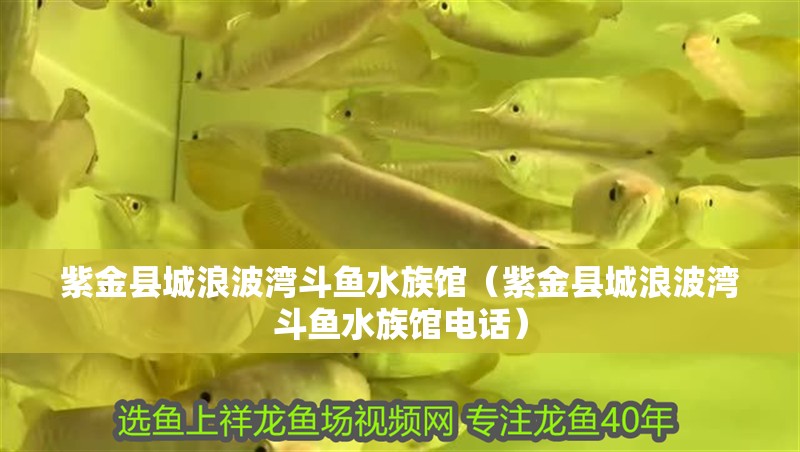 <strong><mark>紫金</mark></strong>縣城浪波灣斗魚水族館（<strong><mark>紫金</mark></strong>縣城浪波灣斗魚水族館電話）