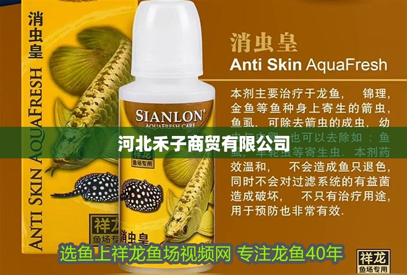 河北禾子商貿有限公司