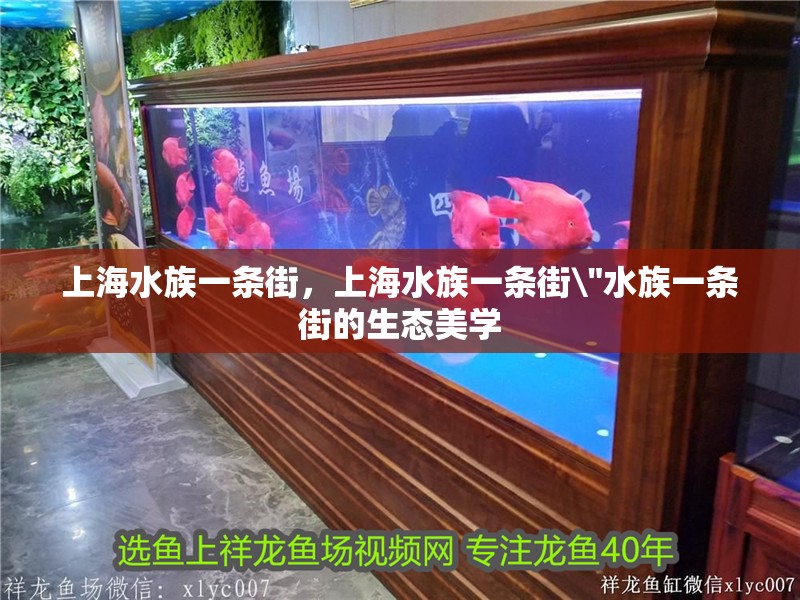 上海水族一條街，上海水族一條街\