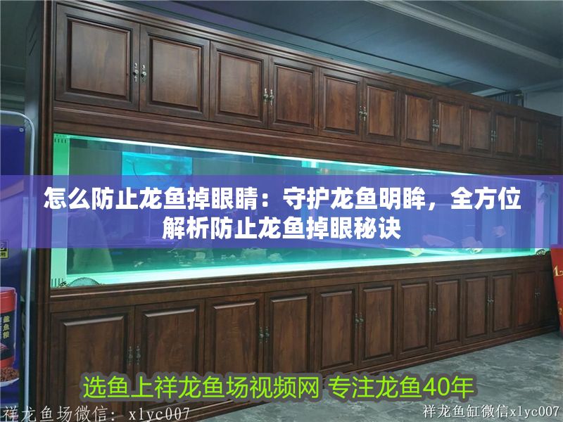 怎么防止龍魚掉眼睛：守護龍魚明眸，全方位解析防止龍魚掉眼秘訣
