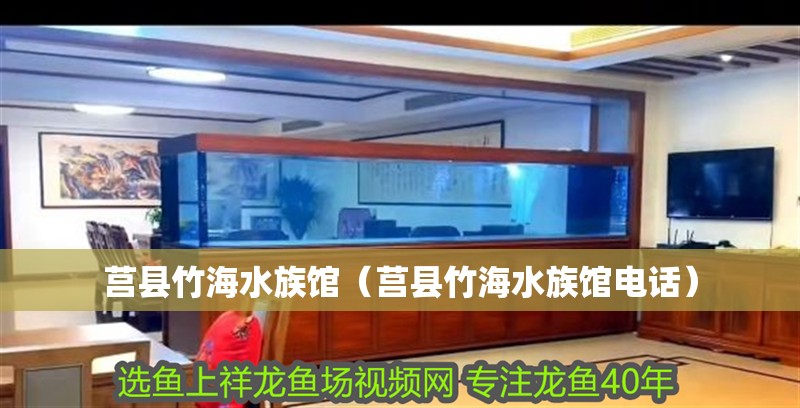 莒縣竹海水族館（莒縣竹海水族館電話） 莒縣竹海水族館（莒縣竹海水族館電話） 全國水族館企業名錄