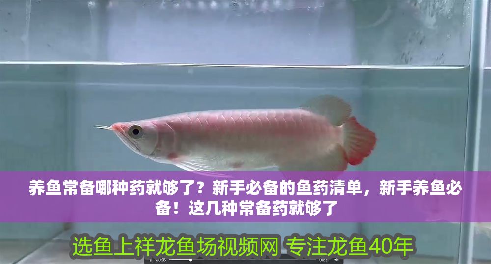養(yǎng)魚常備哪種藥就夠了？新手必備的魚藥清單，新手養(yǎng)魚必備！這幾種常備藥就夠了