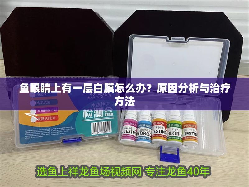 魚眼睛上有一層白膜怎么辦？原因分析與治療方法