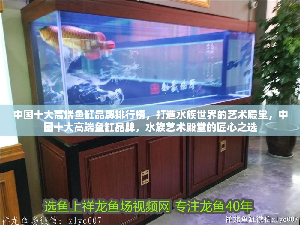 中國(guó)十大高端魚缸品牌排行榜，打造水族世界的藝術(shù)殿堂，中國(guó)十大高端魚缸品牌，水族藝術(shù)殿堂的匠心之選