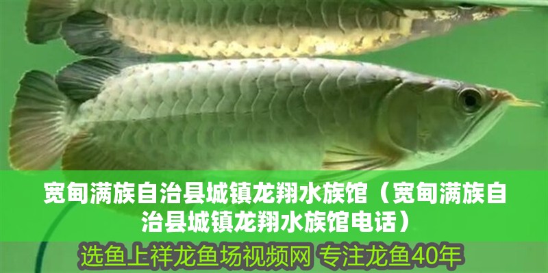 寬甸滿族自治縣城鎮(zhèn)龍翔水族館（寬甸滿族自治縣城鎮(zhèn)龍翔水族館電話）