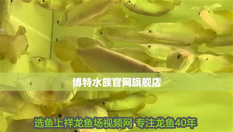 博特水族官網(wǎng)旗艦店