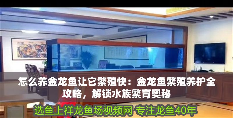 怎么養(yǎng)金龍魚讓它繁殖快：金龍魚繁殖養(yǎng)護(hù)全攻略，解鎖水族繁育奧秘