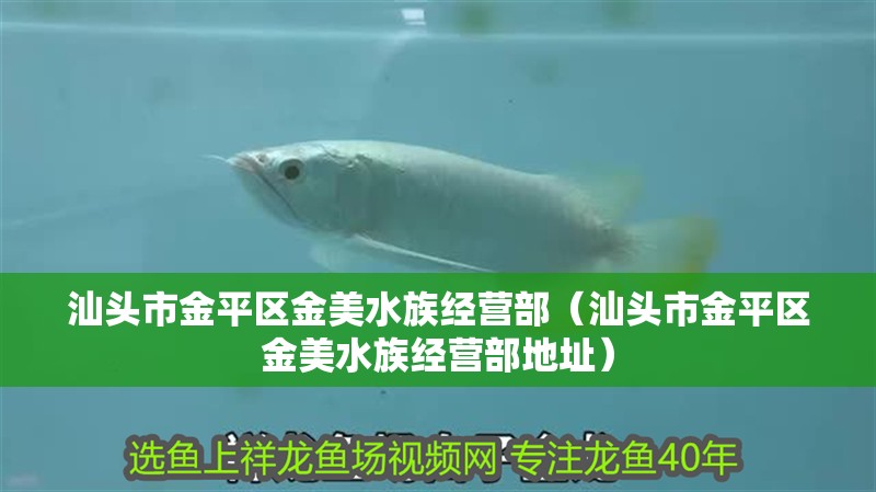 汕頭市金平區金美水族經營部（汕頭市金平區金美水族經營部地址） 汕頭市金平區金美水族經營部（汕頭市金平區金美水族經營部地址） 全國水族館企業名錄