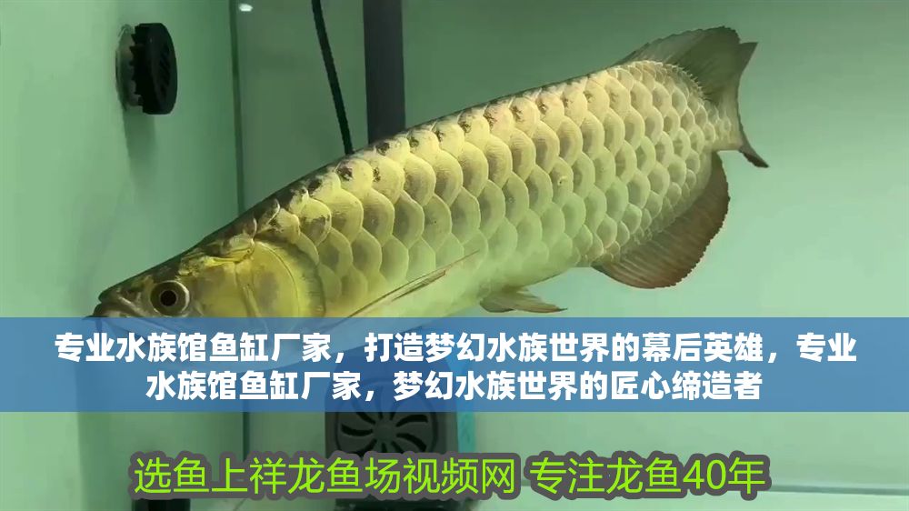 專業(yè)水族館魚缸廠家，打造夢幻水族世界的幕后英雄，專業(yè)水族館魚缸廠家，夢幻水族世界的匠心締造者