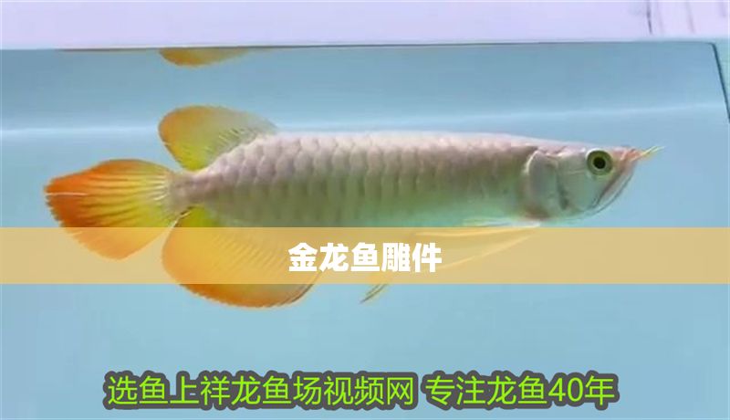 金龍魚雕件