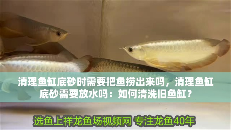 清理魚缸底砂時需要把魚撈出來嗎，清理魚缸底砂需要放水嗎：如何清洗舊魚缸？ 清理魚缸底砂時需要把魚撈出來嗎，清理魚缸底砂需要放水嗎：如何清洗舊魚缸？ 魚缸百科