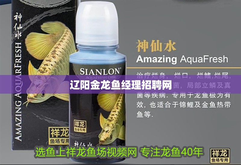 遼陽金龍魚經理招聘網