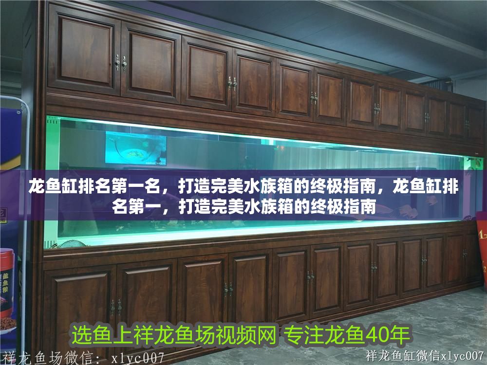龍魚缸排名第一名，打造完美水族箱的終極指南，龍魚缸排名第一，打造完美水族箱的終極指南