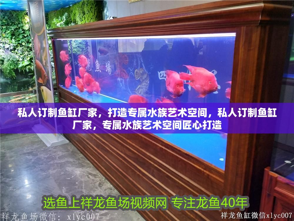 私人訂制魚缸廠家，打造專屬水族藝術空間，私人訂制魚缸廠家，專屬水族藝術空間匠心打造
