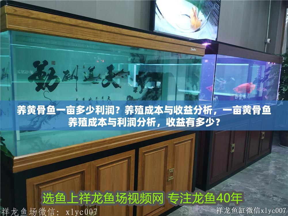 養黃骨魚一畝多少利潤？養殖成本與收益分析，一畝黃骨魚養殖成本與利潤分析，收益有多少？