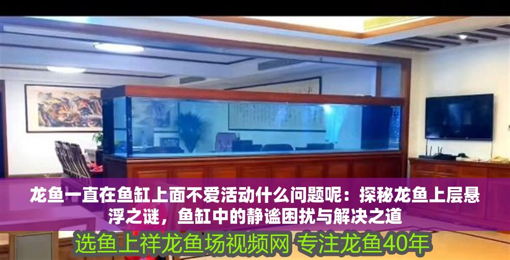 龍魚一直在魚缸上面不愛活動什么問題呢：探秘龍魚上層懸浮之謎，魚缸中的靜謐困擾與解決之道