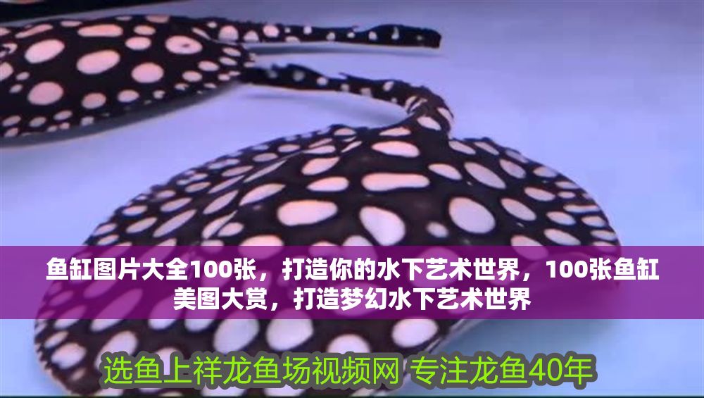 魚缸圖片大全100張，打造你的水下藝術世界，100張魚缸美圖大賞，打造夢幻水下藝術世界 魚缸圖片大全100張，打造你的水下藝術世界，100張魚缸美圖大賞，打造夢幻水下藝術世界 龍魚常見疾病 第1張