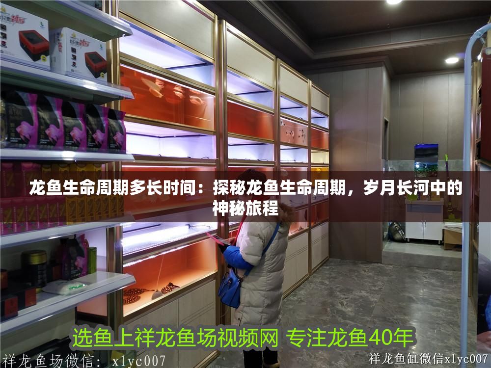 龍魚生命周期多長時間：探秘龍魚生命周期，歲月長河中的神秘旅程