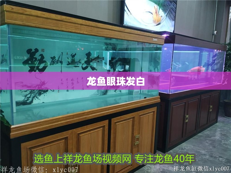 龍魚眼珠發白