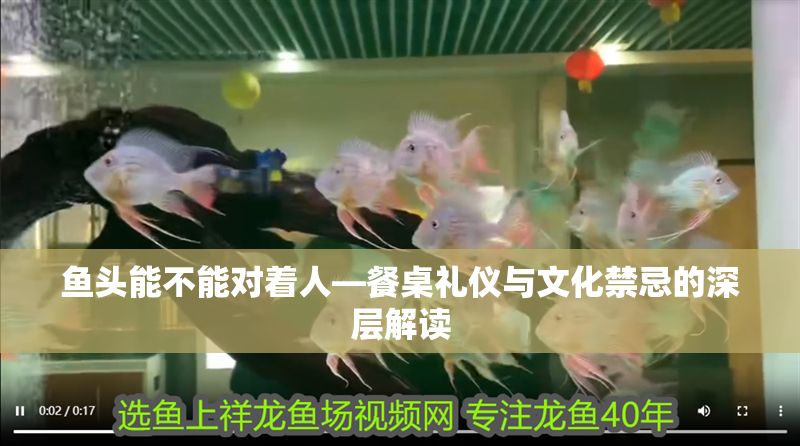 魚頭能不能對著人—餐桌禮儀與文化禁忌的深層解讀 龍魚百科 第1張 魚頭能不能對著人—餐桌禮儀與文化禁忌的深層解讀 魚頭能不能對著人—餐桌禮儀與文化禁忌的深層解讀 龍魚百科 第1張