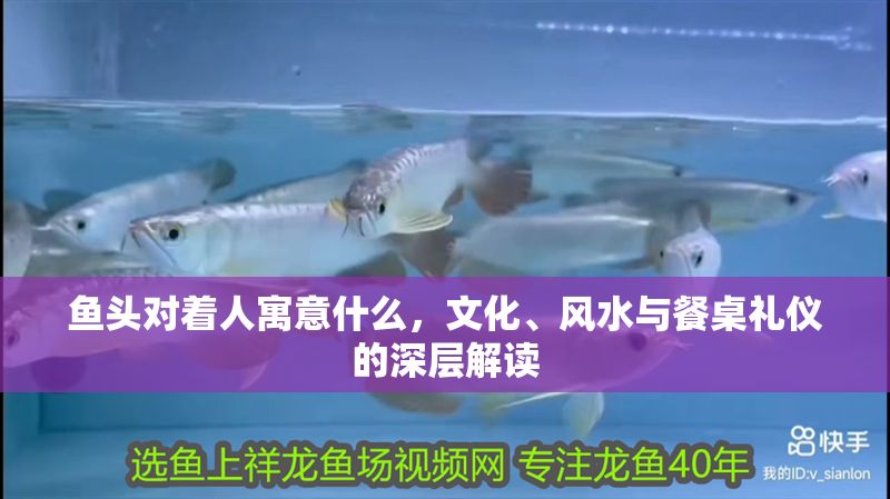 魚頭對著人寓意什么，文化、風(fēng)水與餐桌禮儀的深層解讀