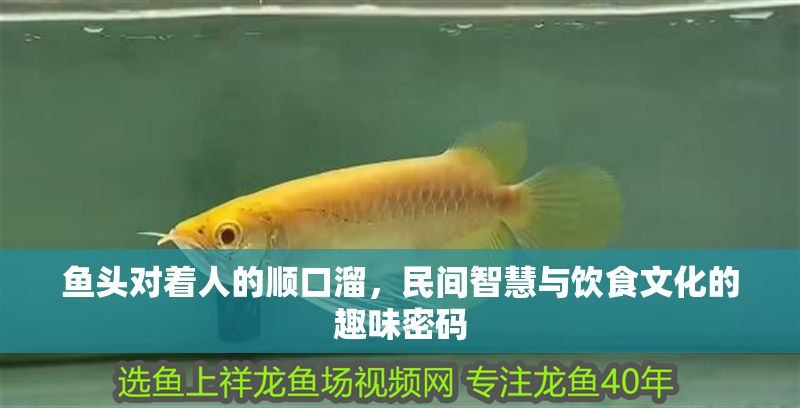魚頭對著人的順口溜，民間智慧與飲食文化的趣味密碼 魚頭對著人的順口溜，民間智慧與飲食文化的趣味密碼 龍魚百科 第1張