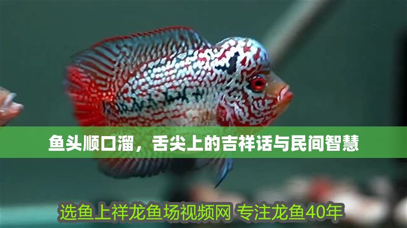 魚頭順口溜，舌尖上的吉祥話與民間智慧