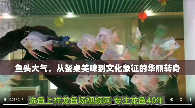 魚頭大氣，從餐桌美味到文化象征的華麗轉(zhuǎn)身