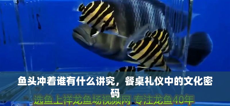 魚頭沖著誰(shuí)有什么講究，餐桌禮儀中的文化密碼