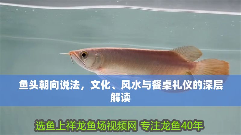 魚頭朝向說法，文化、風水與餐桌禮儀的深層解讀