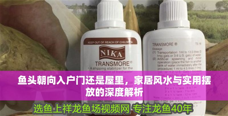魚頭朝向入戶門還是屋里，家居風水與實用擺放的深度解析
